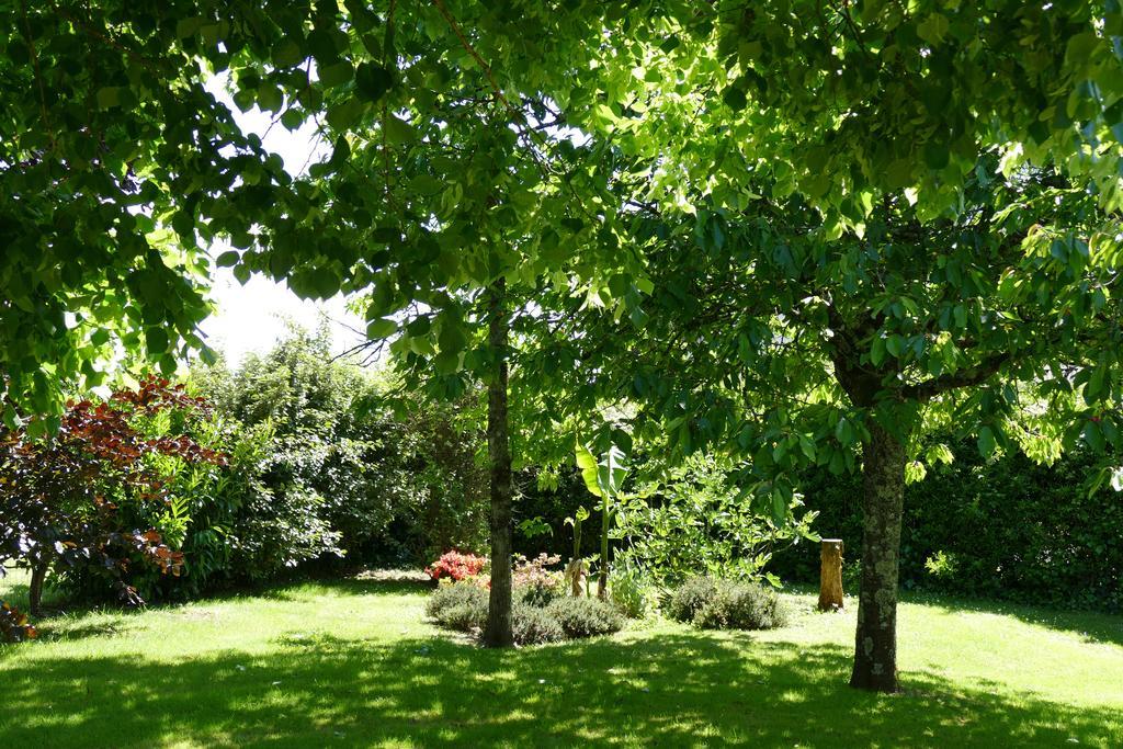 Le Clos Des Perraudieres Cour-Cheverny Dış mekan fotoğraf