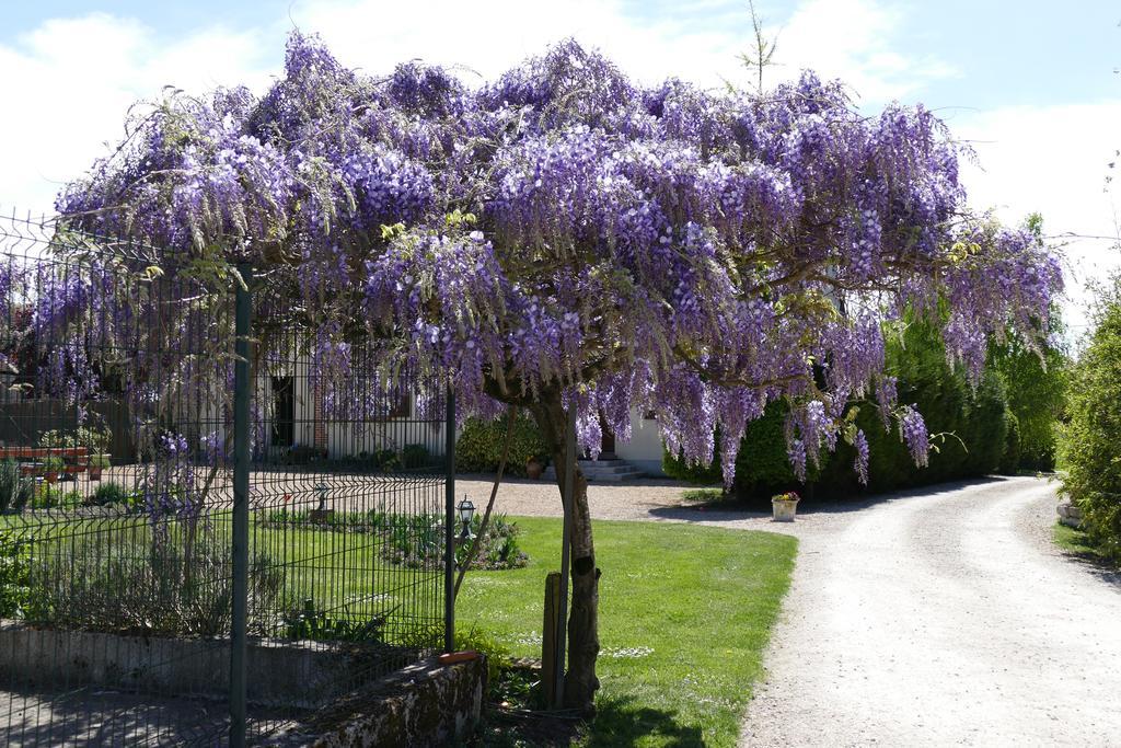 Le Clos Des Perraudieres Cour-Cheverny Dış mekan fotoğraf